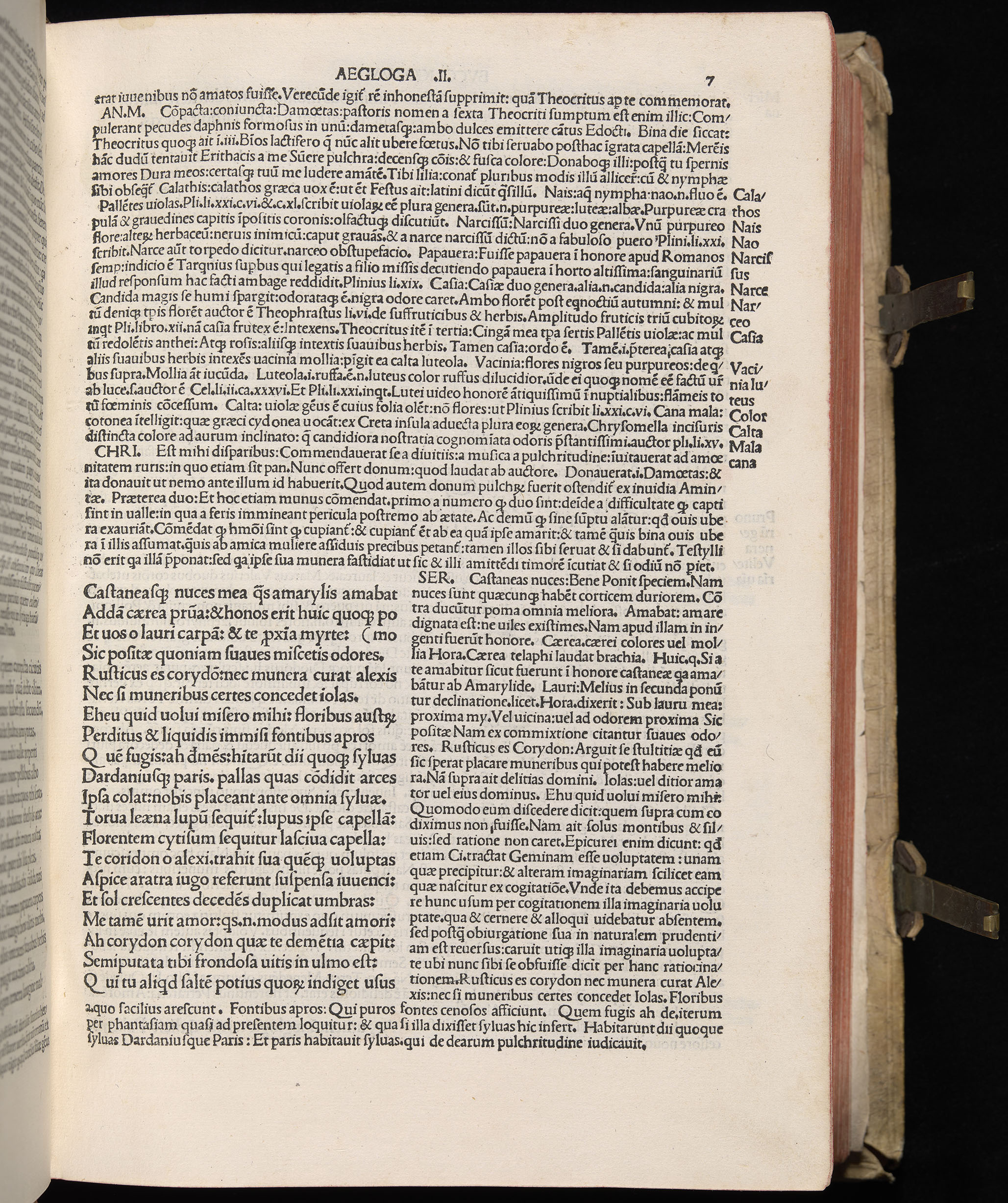 Vergilius cum c?mentariis quinque videlicet: Seruii, Landini, Ant. Mancinelli, Donati, Domitii. (M. Vegius' Book XIII addition to the Aen. Also Priapeia and Catalecta.) / Colophon: Impressu Venetiis per Bartolome? de Zanis de Portesio. . . . M.cccc.xciii. Stamped vellum with clasps. Very rare. Fol. - Image 33