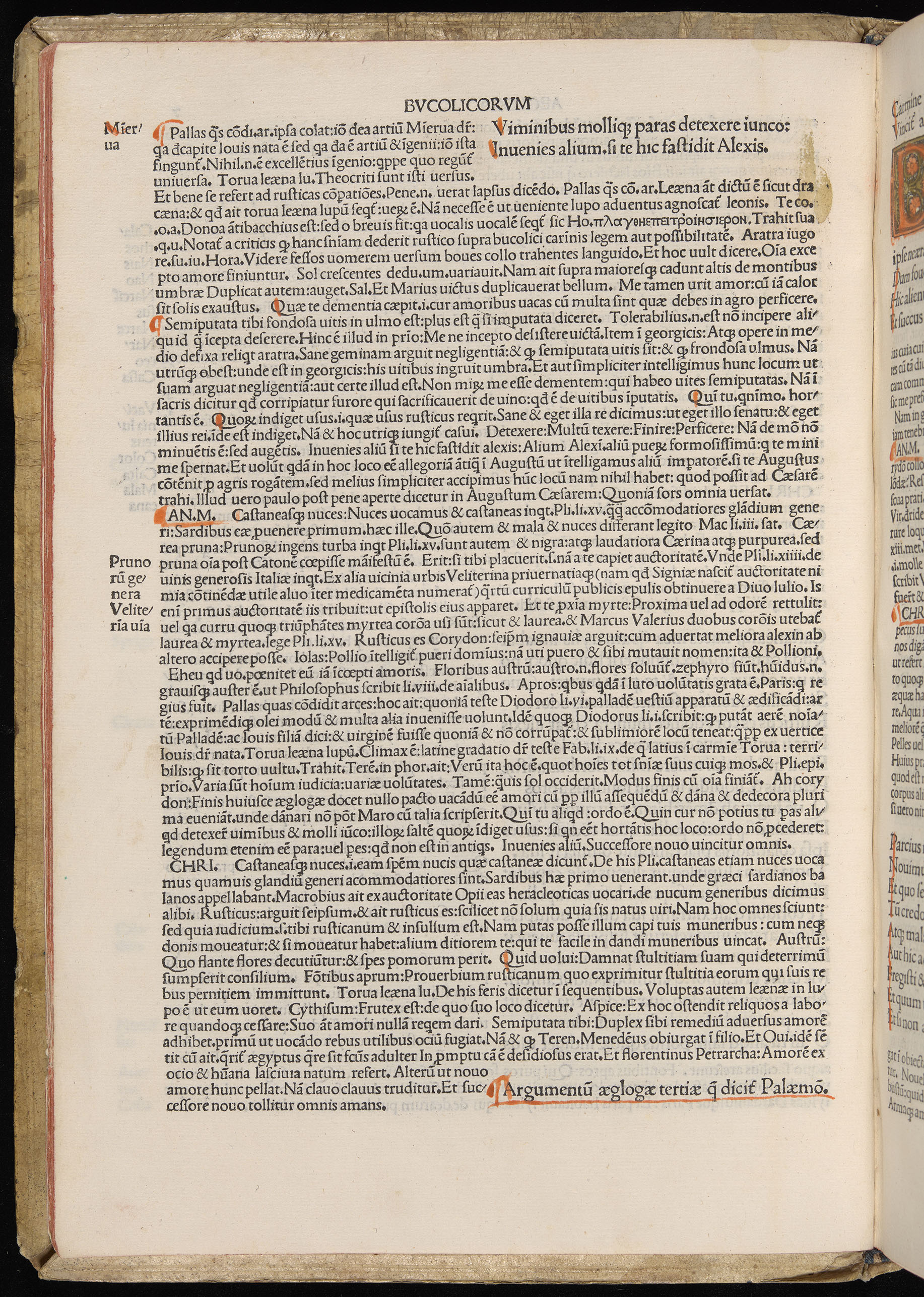 Vergilius cum c?mentariis quinque videlicet: Seruii, Landini, Ant. Mancinelli, Donati, Domitii. (M. Vegius' Book XIII addition to the Aen. Also Priapeia and Catalecta.) / Colophon: Impressu Venetiis per Bartolome? de Zanis de Portesio. . . . M.cccc.xciii. Stamped vellum with clasps. Very rare. Fol. - Image 34