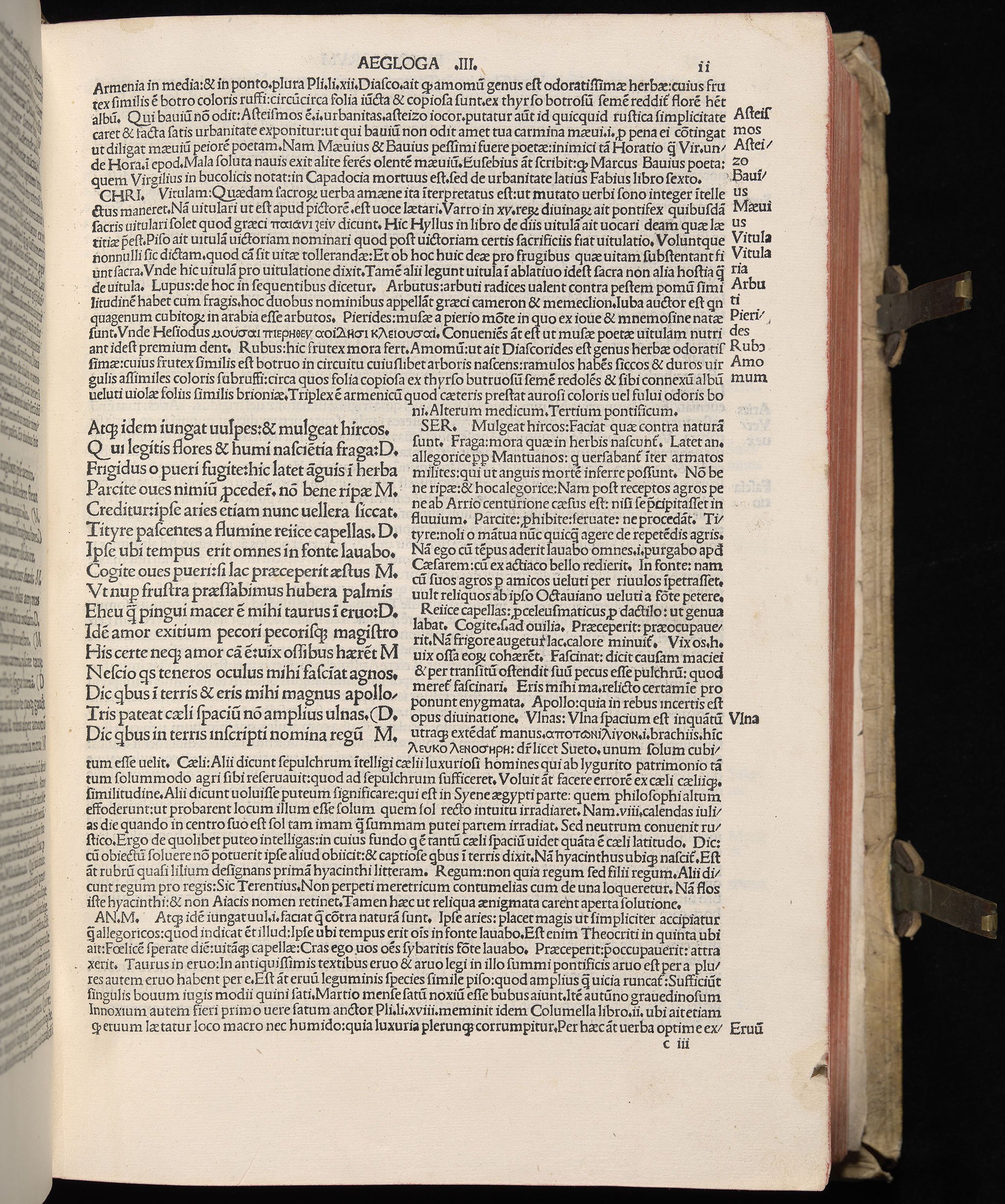 Vergilius cum c?mentariis quinque videlicet: Seruii, Landini, Ant. Mancinelli, Donati, Domitii. (M. Vegius' Book XIII addition to the Aen. Also Priapeia and Catalecta.) / Colophon: Impressu Venetiis per Bartolome? de Zanis de Portesio. . . . M.cccc.xciii. Stamped vellum with clasps. Very rare. Fol. - Image 41