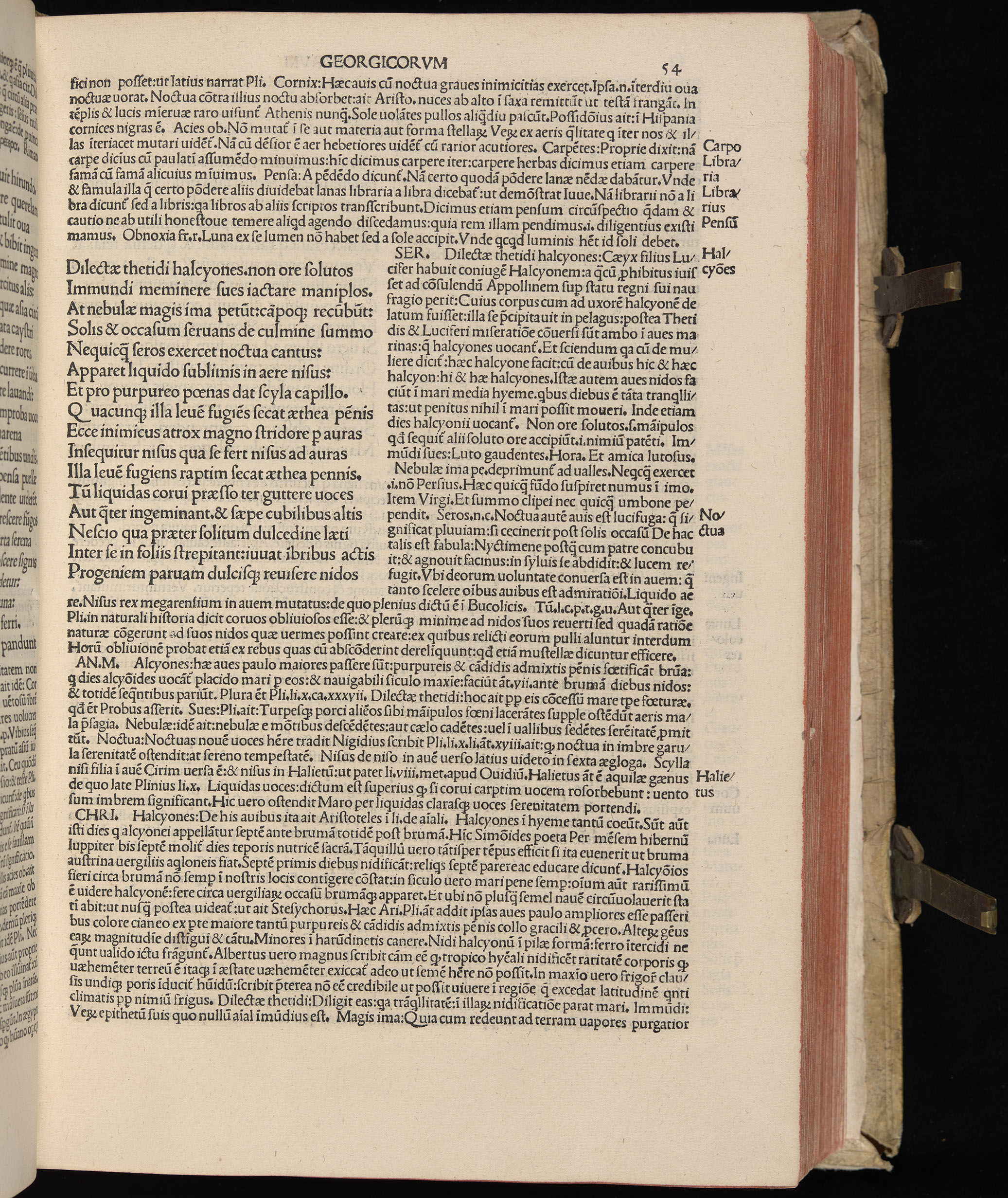 Vergilius cum c?mentariis quinque videlicet: Seruii, Landini, Ant. Mancinelli, Donati, Domitii. (M. Vegius' Book XIII addition to the Aen. Also Priapeia and Catalecta.) / Colophon: Impressu Venetiis per Bartolome? de Zanis de Portesio. . . . M.cccc.xciii. Stamped vellum with clasps. Very rare. Fol. - Image 127