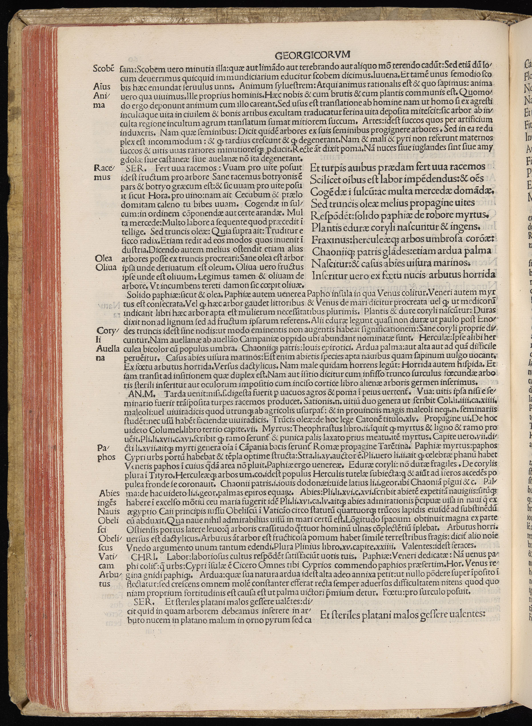 Vergilius cum c?mentariis quinque videlicet: Seruii, Landini, Ant. Mancinelli, Donati, Domitii. (M. Vegius' Book XIII addition to the Aen. Also Priapeia and Catalecta.) / Colophon: Impressu Venetiis per Bartolome? de Zanis de Portesio. . . . M.cccc.xciii. Stamped vellum with clasps. Very rare. Fol. - Image 140