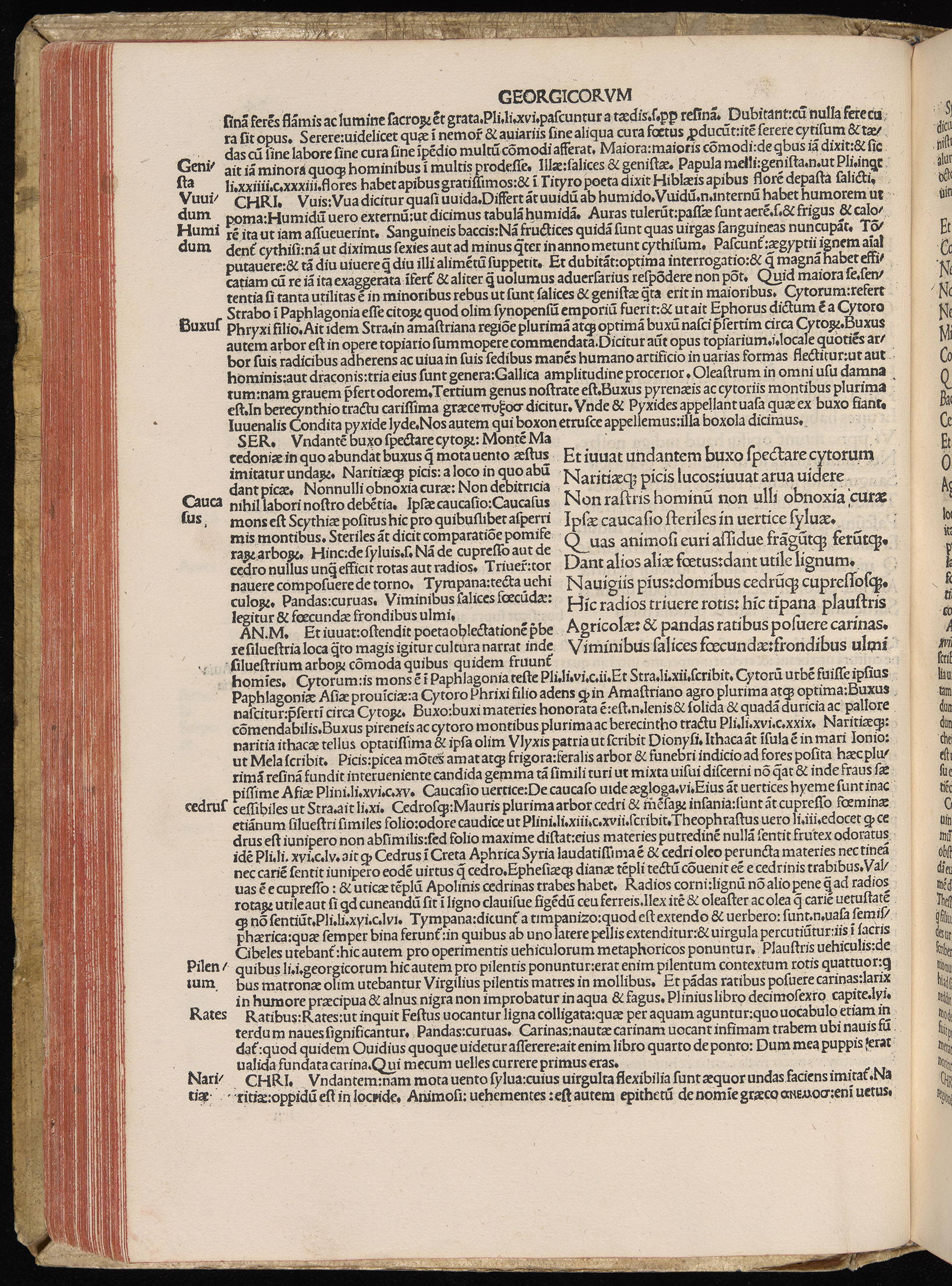 Vergilius cum c?mentariis quinque videlicet: Seruii, Landini, Ant. Mancinelli, Donati, Domitii. (M. Vegius' Book XIII addition to the Aen. Also Priapeia and Catalecta.) / Colophon: Impressu Venetiis per Bartolome? de Zanis de Portesio. . . . M.cccc.xciii. Stamped vellum with clasps. Very rare. Fol. - Image 168