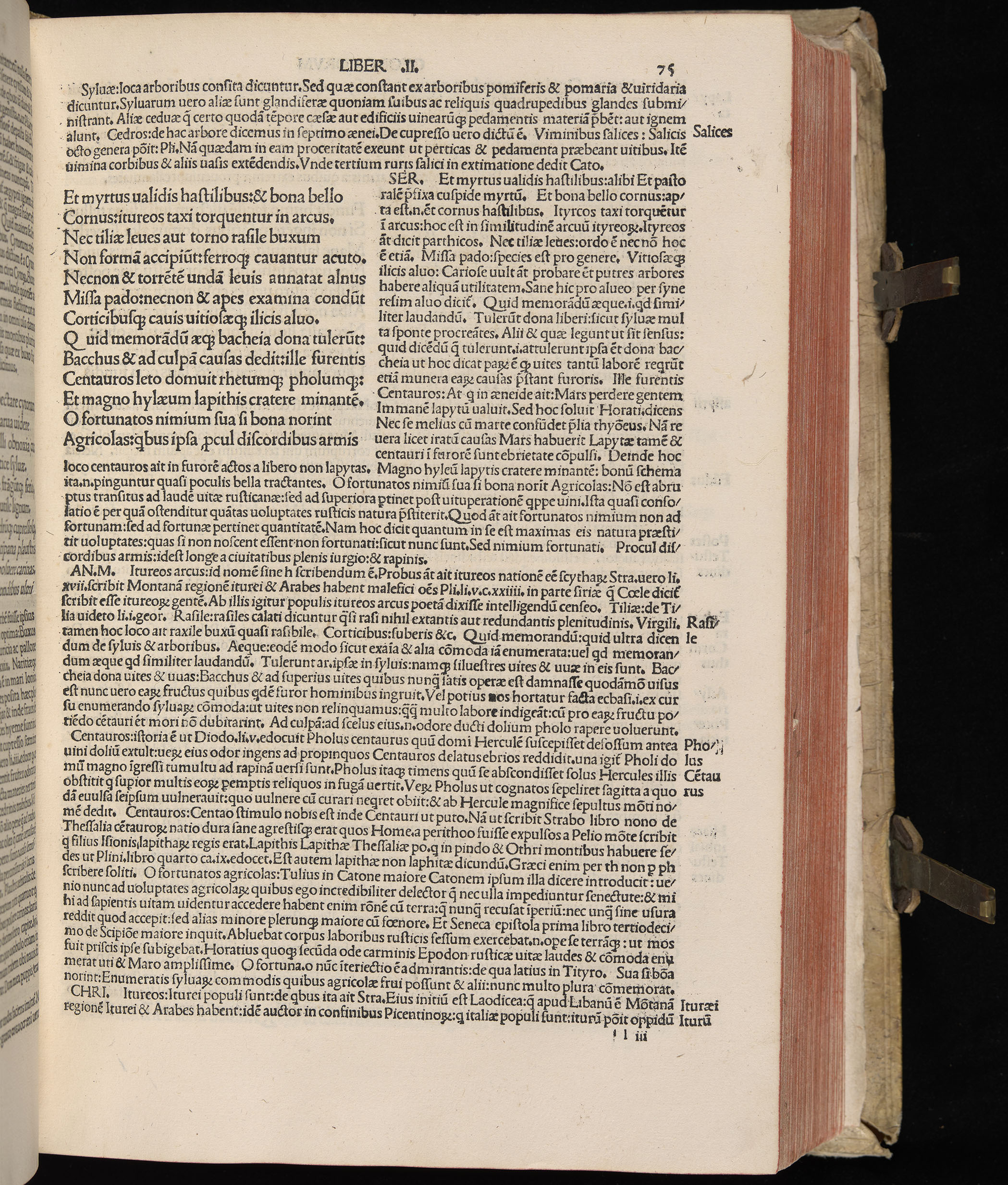 Vergilius cum c?mentariis quinque videlicet: Seruii, Landini, Ant. Mancinelli, Donati, Domitii. (M. Vegius' Book XIII addition to the Aen. Also Priapeia and Catalecta.) / Colophon: Impressu Venetiis per Bartolome? de Zanis de Portesio. . . . M.cccc.xciii. Stamped vellum with clasps. Very rare. Fol. - Image 169