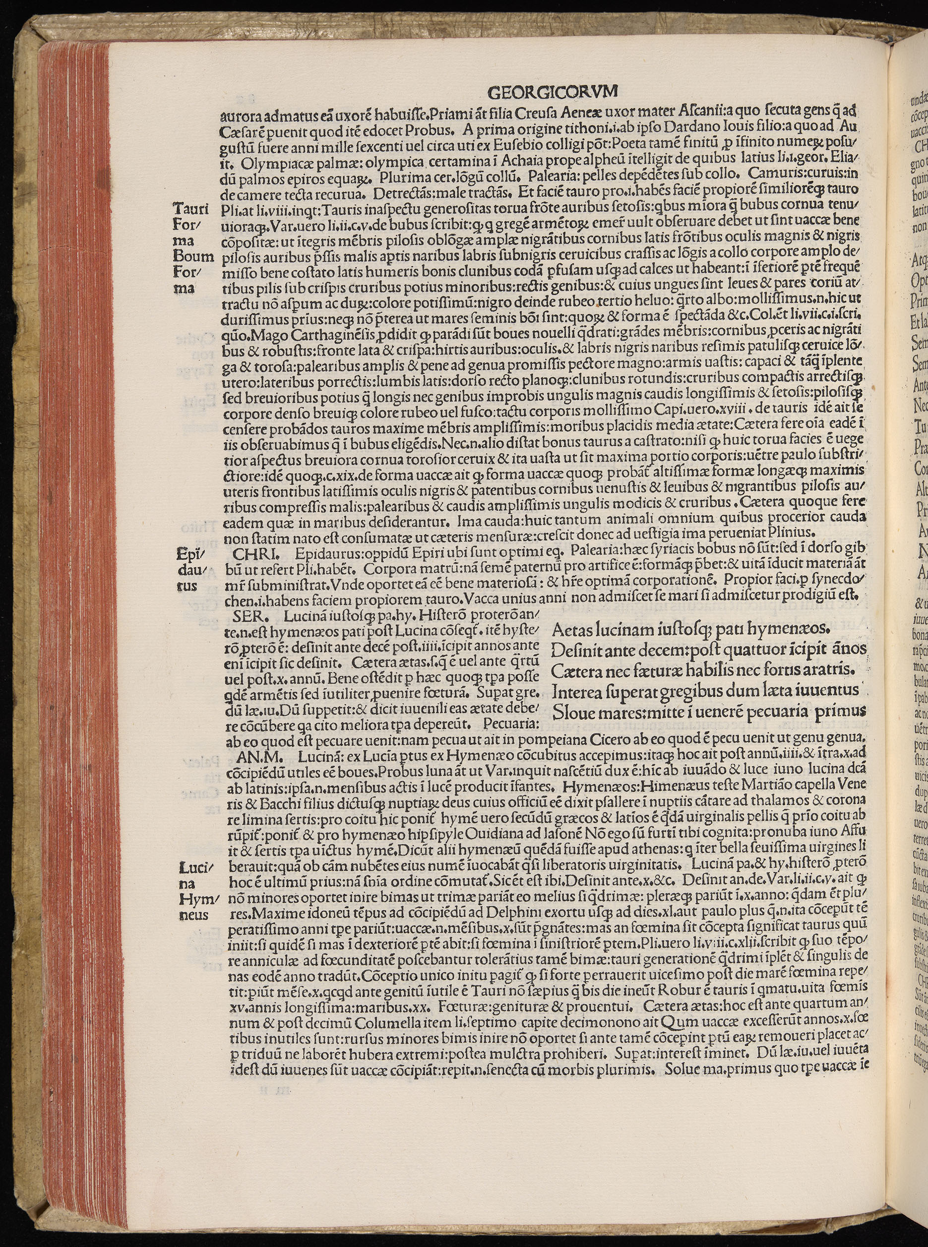 Vergilius cum c?mentariis quinque videlicet: Seruii, Landini, Ant. Mancinelli, Donati, Domitii. (M. Vegius' Book XIII addition to the Aen. Also Priapeia and Catalecta.) / Colophon: Impressu Venetiis per Bartolome? de Zanis de Portesio. . . . M.cccc.xciii. Stamped vellum with clasps. Very rare. Fol. - Image 184