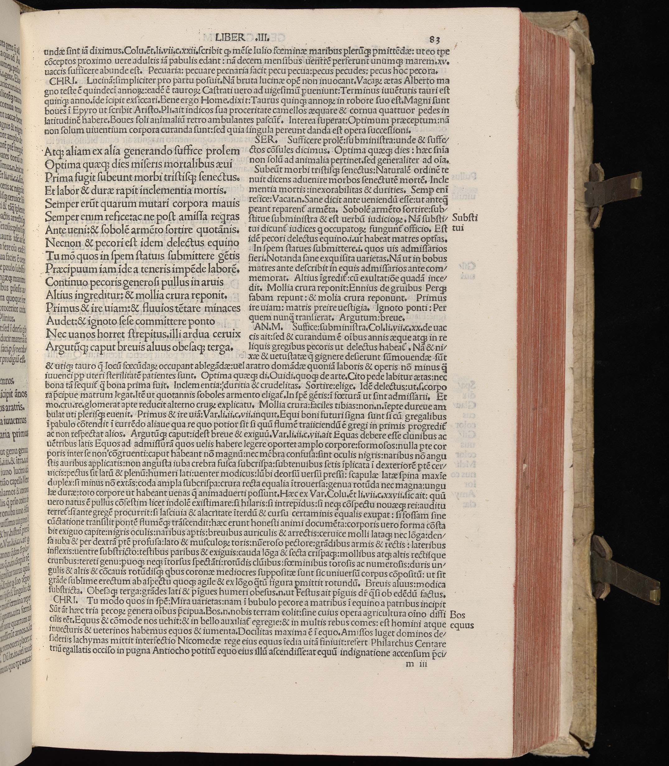 Vergilius cum c?mentariis quinque videlicet: Seruii, Landini, Ant. Mancinelli, Donati, Domitii. (M. Vegius' Book XIII addition to the Aen. Also Priapeia and Catalecta.) / Colophon: Impressu Venetiis per Bartolome? de Zanis de Portesio. . . . M.cccc.xciii. Stamped vellum with clasps. Very rare. Fol. - Image 185