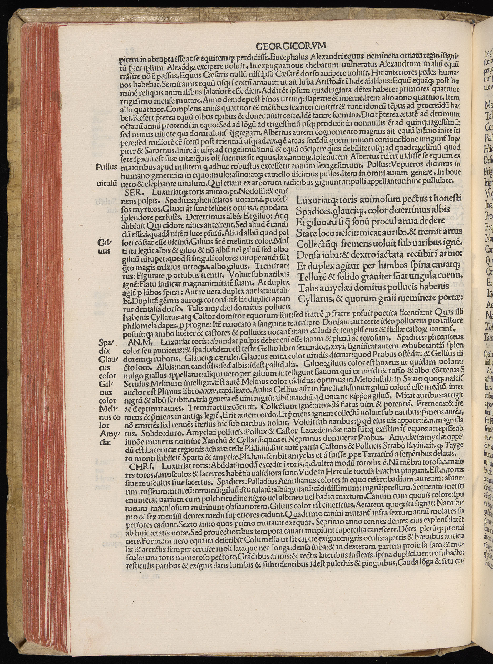 Vergilius cum c?mentariis quinque videlicet: Seruii, Landini, Ant. Mancinelli, Donati, Domitii. (M. Vegius' Book XIII addition to the Aen. Also Priapeia and Catalecta.) / Colophon: Impressu Venetiis per Bartolome? de Zanis de Portesio. . . . M.cccc.xciii. Stamped vellum with clasps. Very rare. Fol. - Image 186