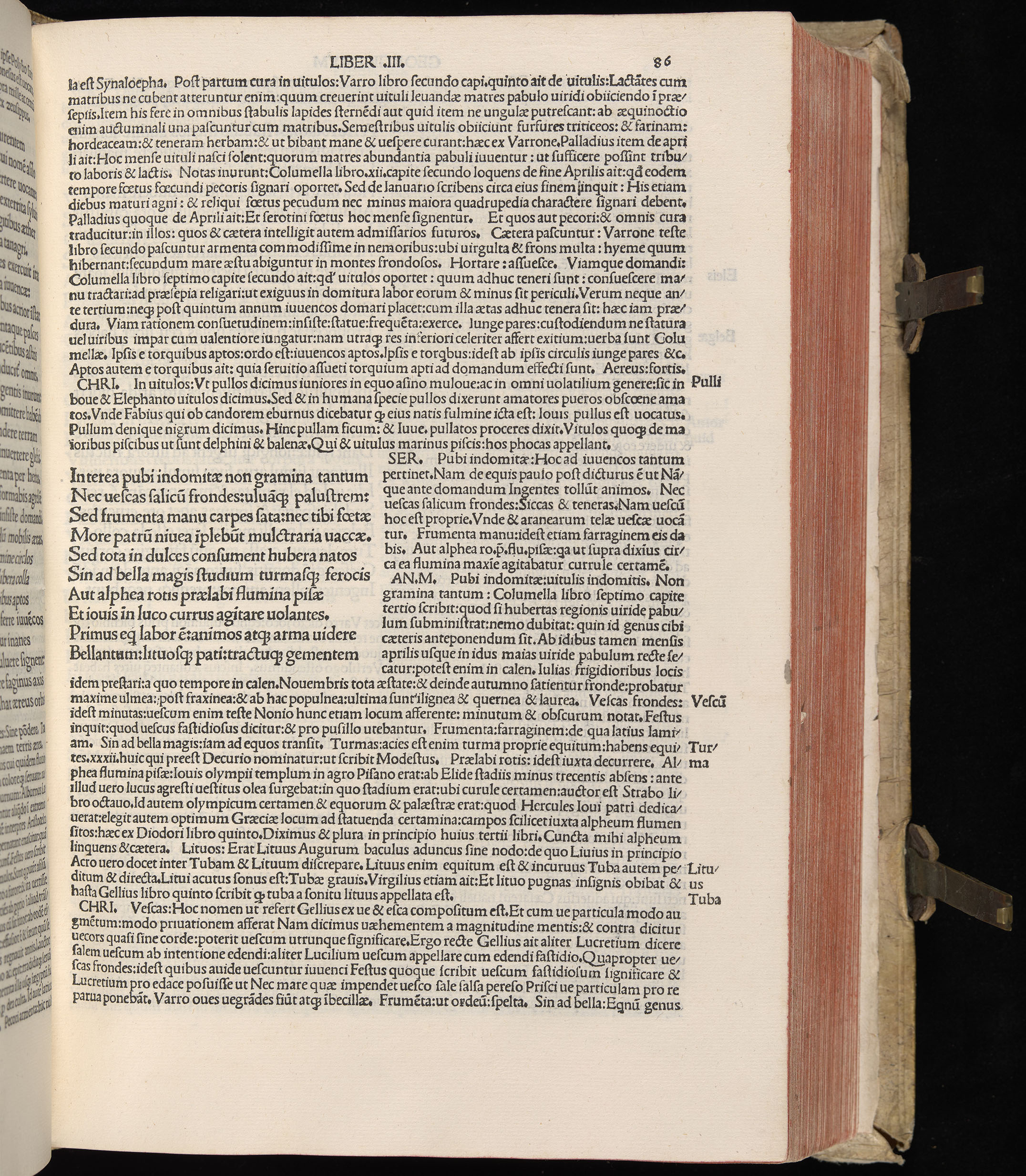 Vergilius cum c?mentariis quinque videlicet: Seruii, Landini, Ant. Mancinelli, Donati, Domitii. (M. Vegius' Book XIII addition to the Aen. Also Priapeia and Catalecta.) / Colophon: Impressu Venetiis per Bartolome? de Zanis de Portesio. . . . M.cccc.xciii. Stamped vellum with clasps. Very rare. Fol. - Image 191