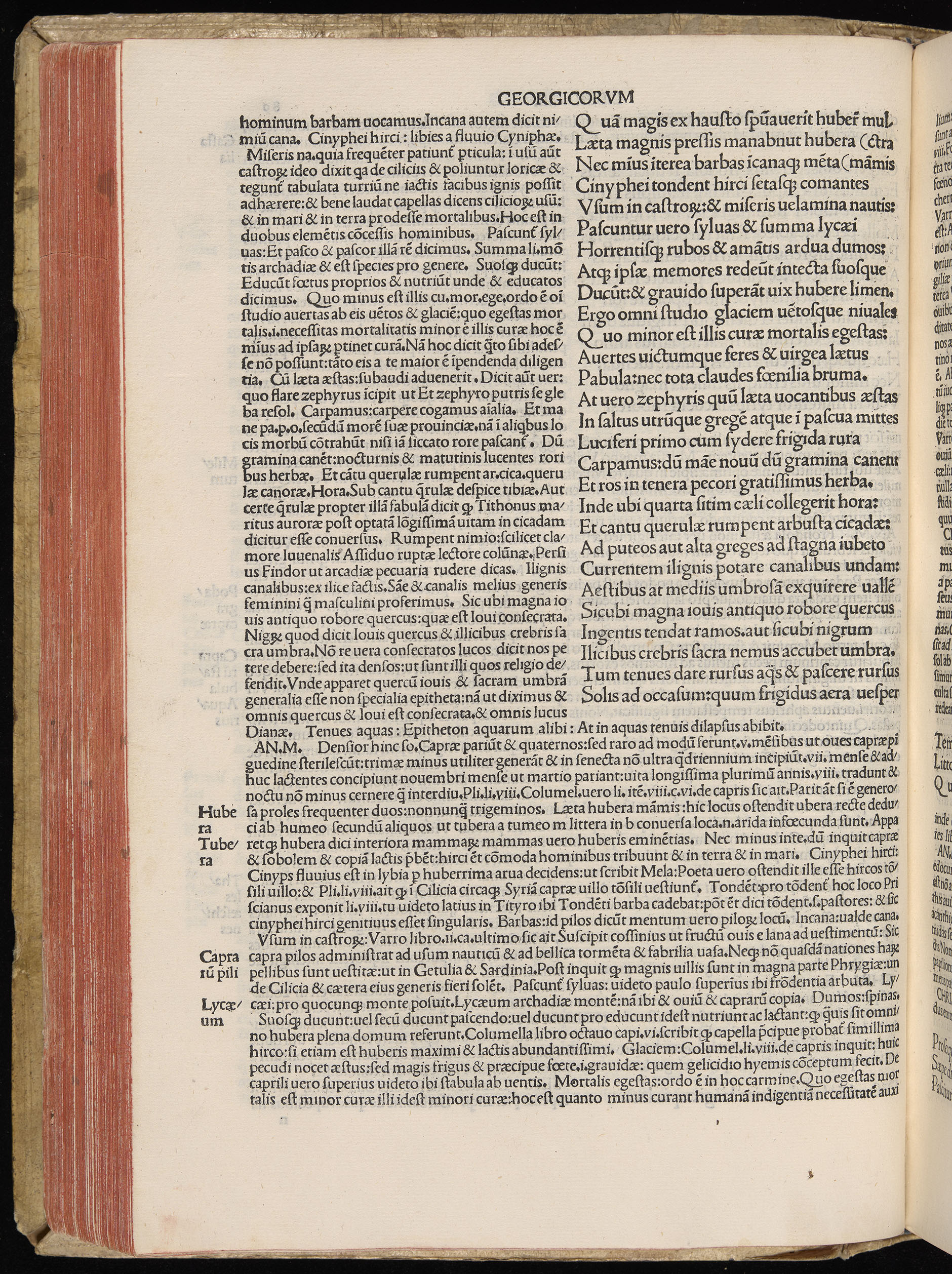 Vergilius cum c?mentariis quinque videlicet: Seruii, Landini, Ant. Mancinelli, Donati, Domitii. (M. Vegius' Book XIII addition to the Aen. Also Priapeia and Catalecta.) / Colophon: Impressu Venetiis per Bartolome? de Zanis de Portesio. . . . M.cccc.xciii. Stamped vellum with clasps. Very rare. Fol. - Image 198