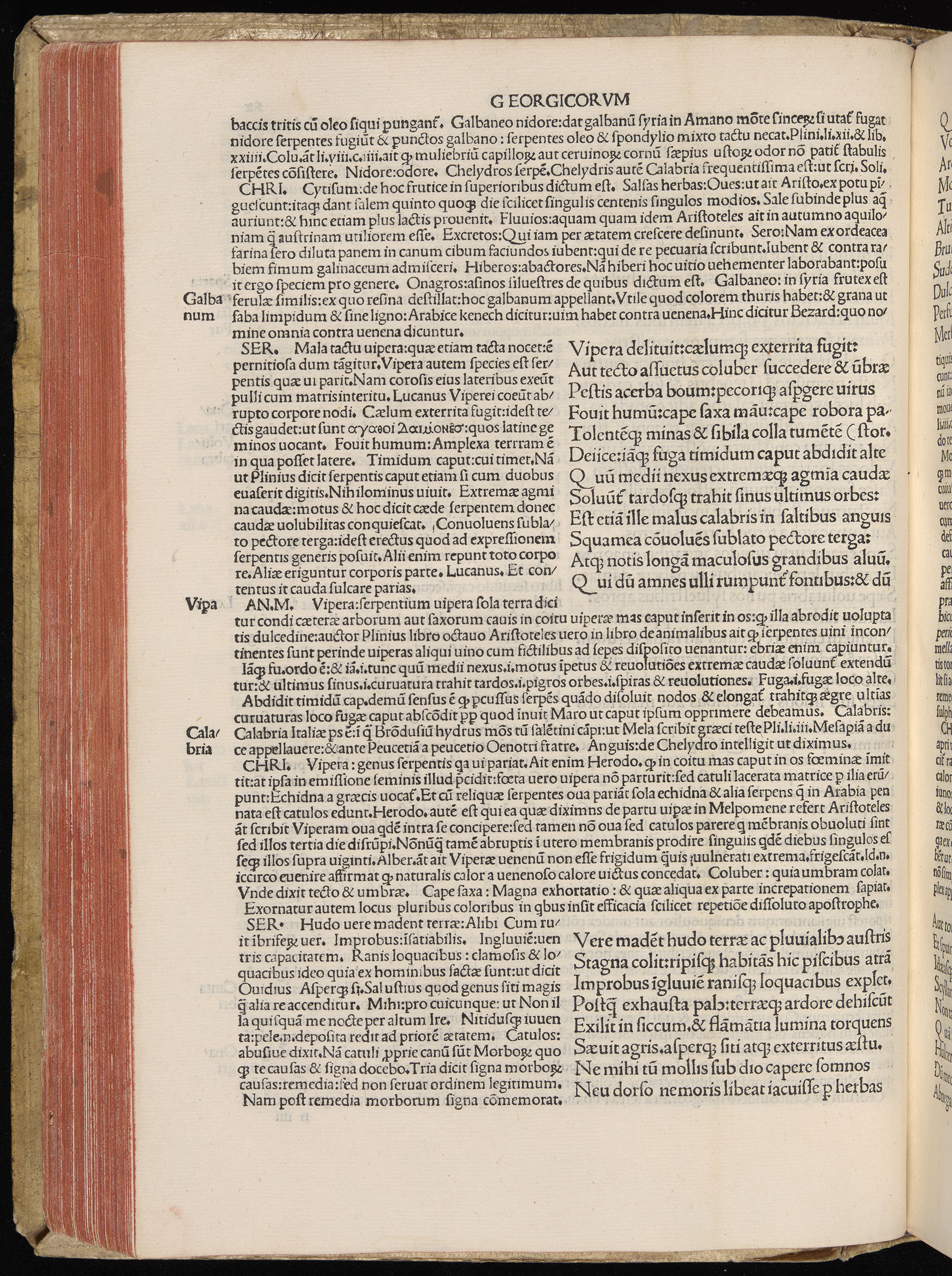 Vergilius cum c?mentariis quinque videlicet: Seruii, Landini, Ant. Mancinelli, Donati, Domitii. (M. Vegius' Book XIII addition to the Aen. Also Priapeia and Catalecta.) / Colophon: Impressu Venetiis per Bartolome? de Zanis de Portesio. . . . M.cccc.xciii. Stamped vellum with clasps. Very rare. Fol. - Image 204