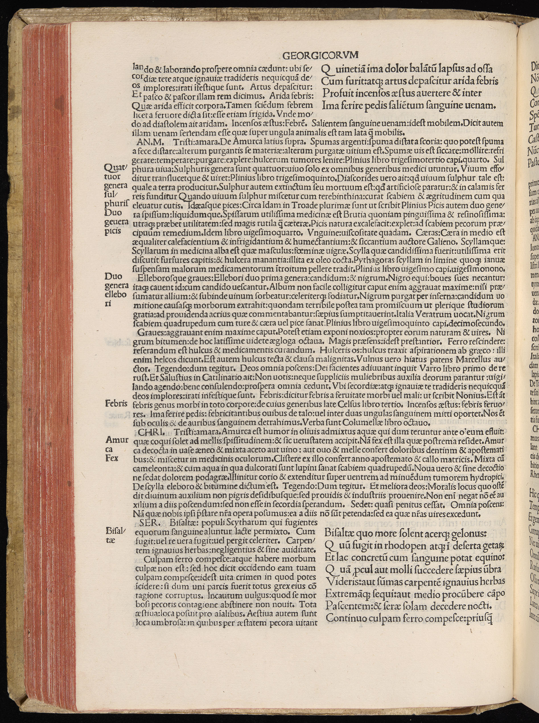 Vergilius cum c?mentariis quinque videlicet: Seruii, Landini, Ant. Mancinelli, Donati, Domitii. (M. Vegius' Book XIII addition to the Aen. Also Priapeia and Catalecta.) / Colophon: Impressu Venetiis per Bartolome? de Zanis de Portesio. . . . M.cccc.xciii. Stamped vellum with clasps. Very rare. Fol. - Image 206