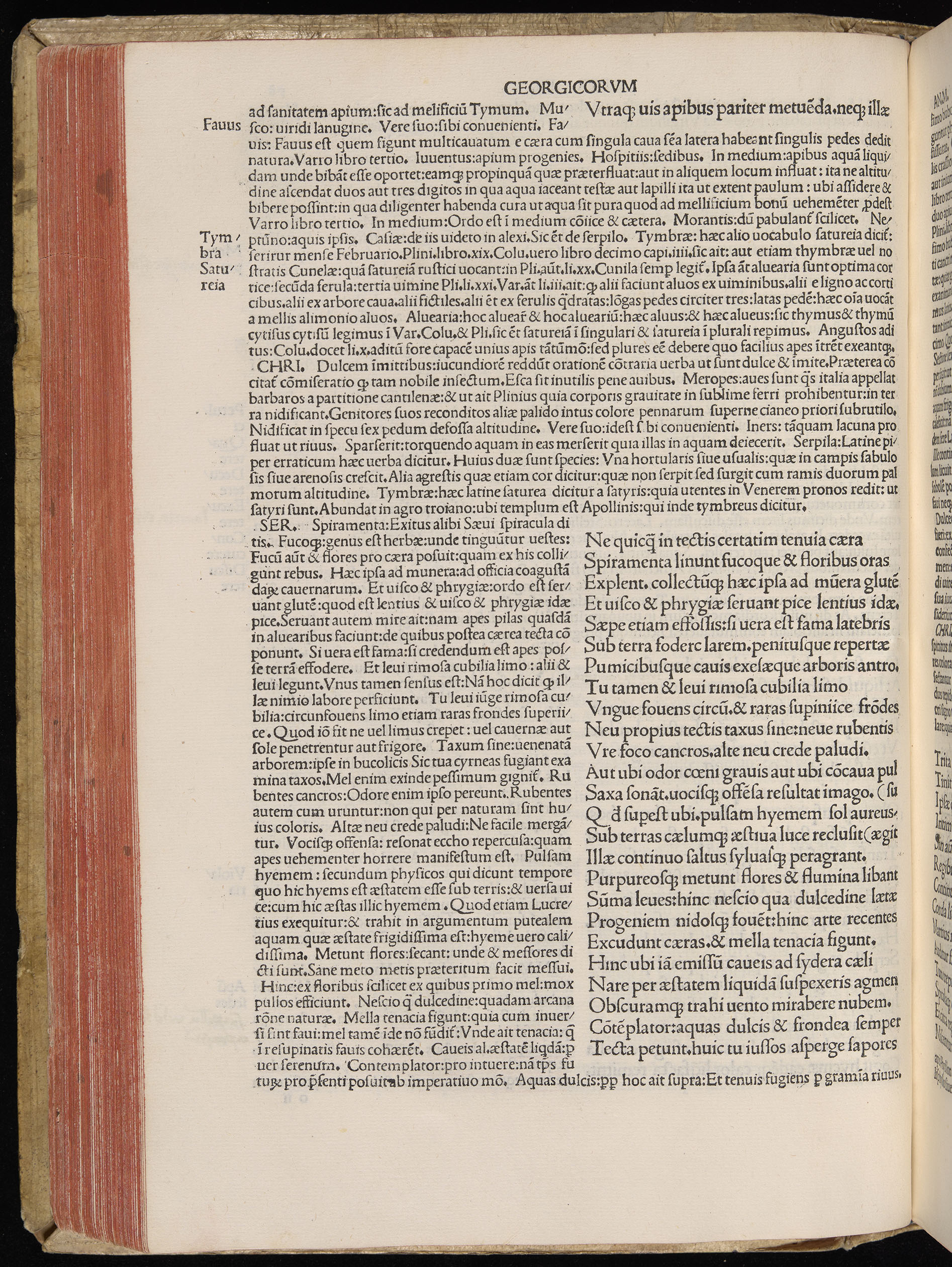 Vergilius cum c?mentariis quinque videlicet: Seruii, Landini, Ant. Mancinelli, Donati, Domitii. (M. Vegius' Book XIII addition to the Aen. Also Priapeia and Catalecta.) / Colophon: Impressu Venetiis per Bartolome? de Zanis de Portesio. . . . M.cccc.xciii. Stamped vellum with clasps. Very rare. Fol. - Image 216