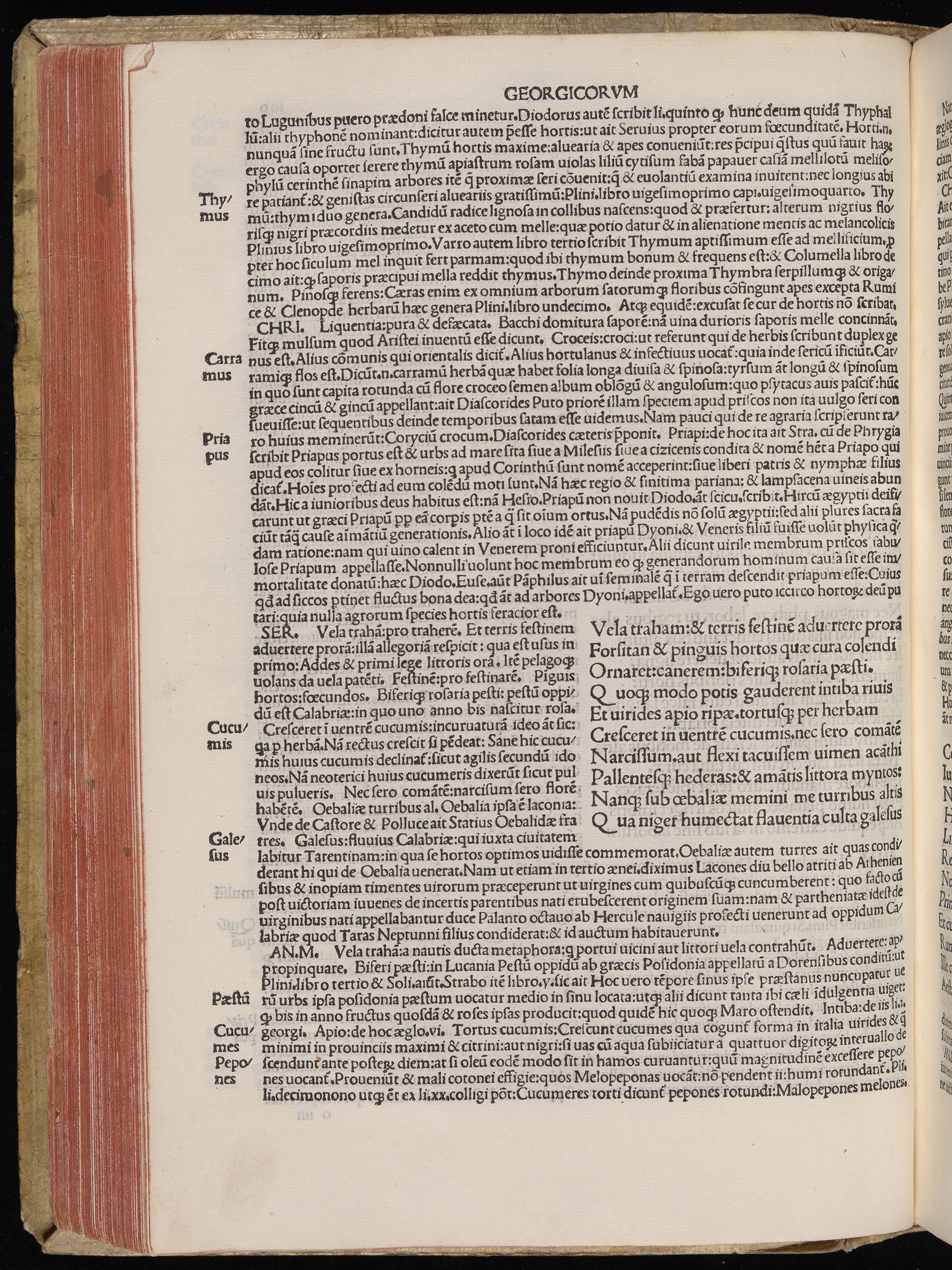 Vergilius cum c?mentariis quinque videlicet: Seruii, Landini, Ant. Mancinelli, Donati, Domitii. (M. Vegius' Book XIII addition to the Aen. Also Priapeia and Catalecta.) / Colophon: Impressu Venetiis per Bartolome? de Zanis de Portesio. . . . M.cccc.xciii. Stamped vellum with clasps. Very rare. Fol. - Image 220