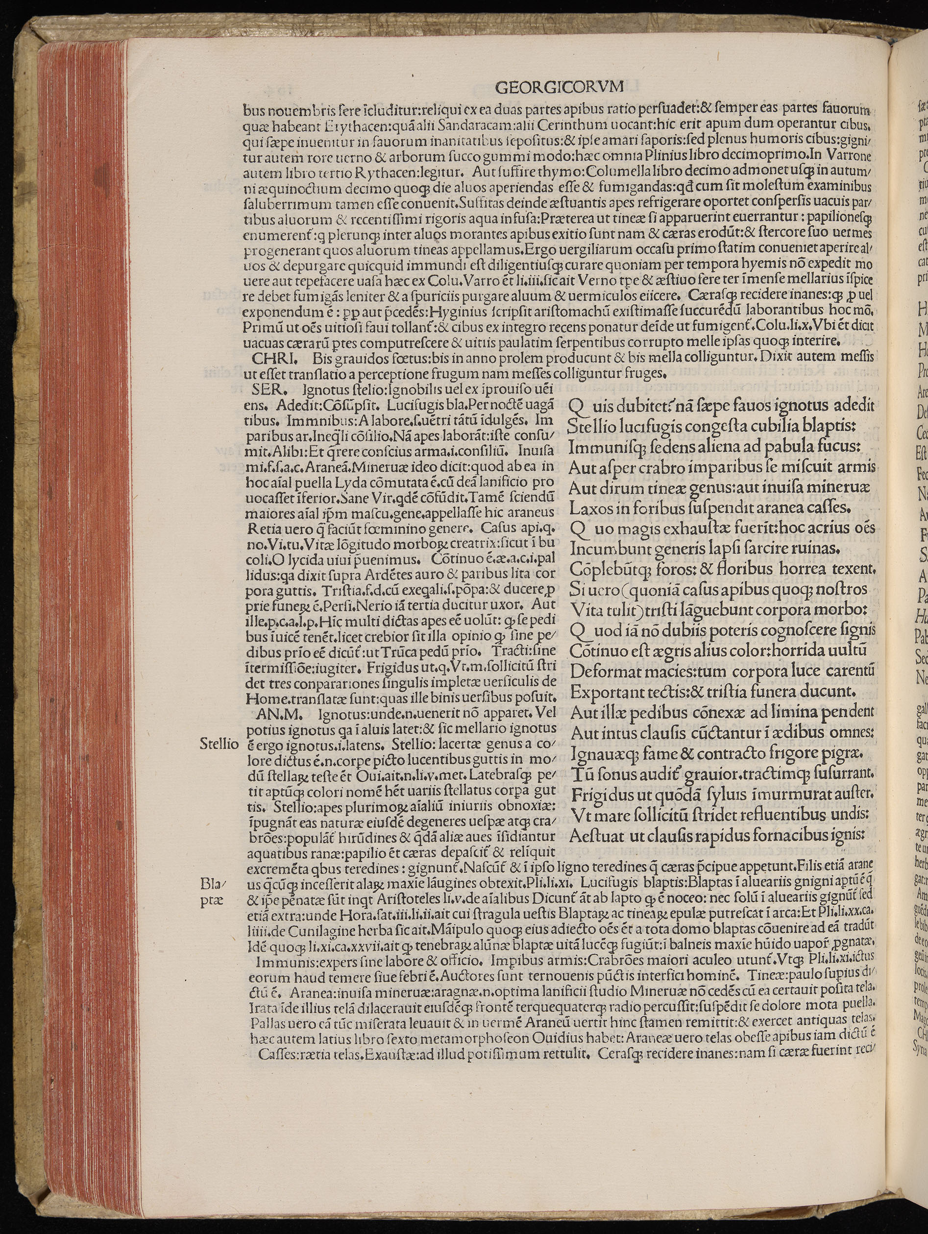 Vergilius cum c?mentariis quinque videlicet: Seruii, Landini, Ant. Mancinelli, Donati, Domitii. (M. Vegius' Book XIII addition to the Aen. Also Priapeia and Catalecta.) / Colophon: Impressu Venetiis per Bartolome? de Zanis de Portesio. . . . M.cccc.xciii. Stamped vellum with clasps. Very rare. Fol. - Image 228