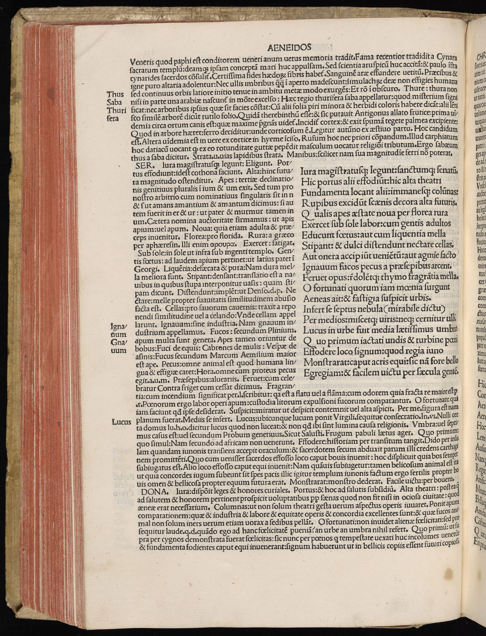 Vergilius cum c?mentariis quinque videlicet: Seruii, Landini, Ant. Mancinelli, Donati, Domitii. (M. Vegius' Book XIII addition to the Aen. Also Priapeia and Catalecta.) / Colophon: Impressu Venetiis per Bartolome? de Zanis de Portesio. . . . M.cccc.xciii. Stamped vellum with clasps. Very rare. Fol. - Image 286