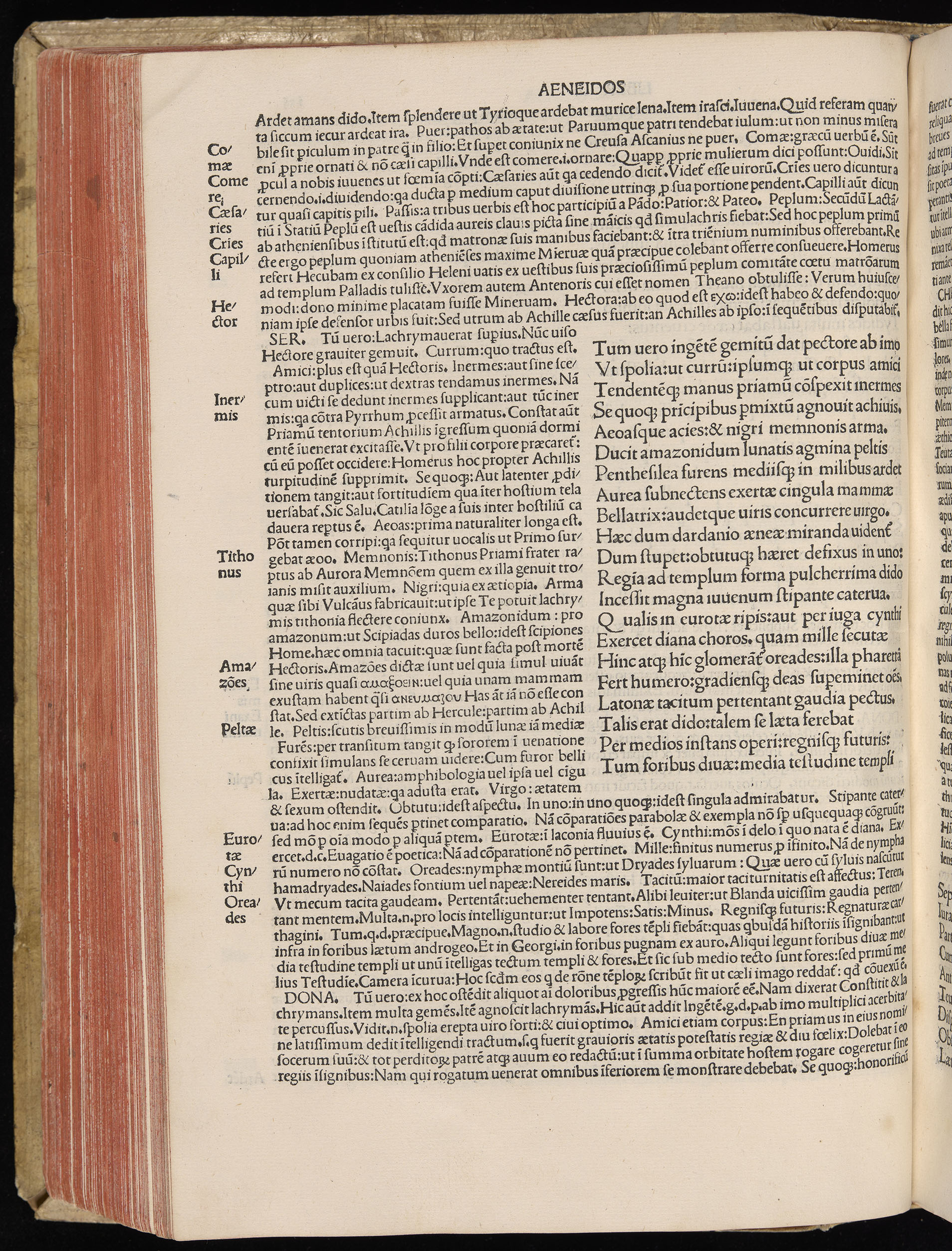 Vergilius cum c?mentariis quinque videlicet: Seruii, Landini, Ant. Mancinelli, Donati, Domitii. (M. Vegius' Book XIII addition to the Aen. Also Priapeia and Catalecta.) / Colophon: Impressu Venetiis per Bartolome? de Zanis de Portesio. . . . M.cccc.xciii. Stamped vellum with clasps. Very rare. Fol. - Image 290